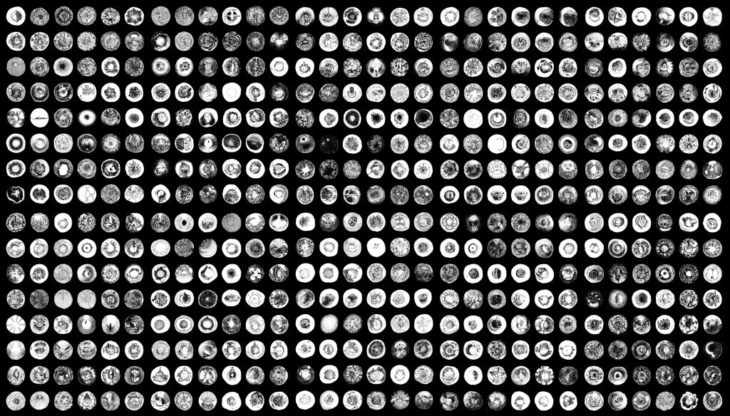 500 EGOTYPES