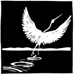 Aigrette