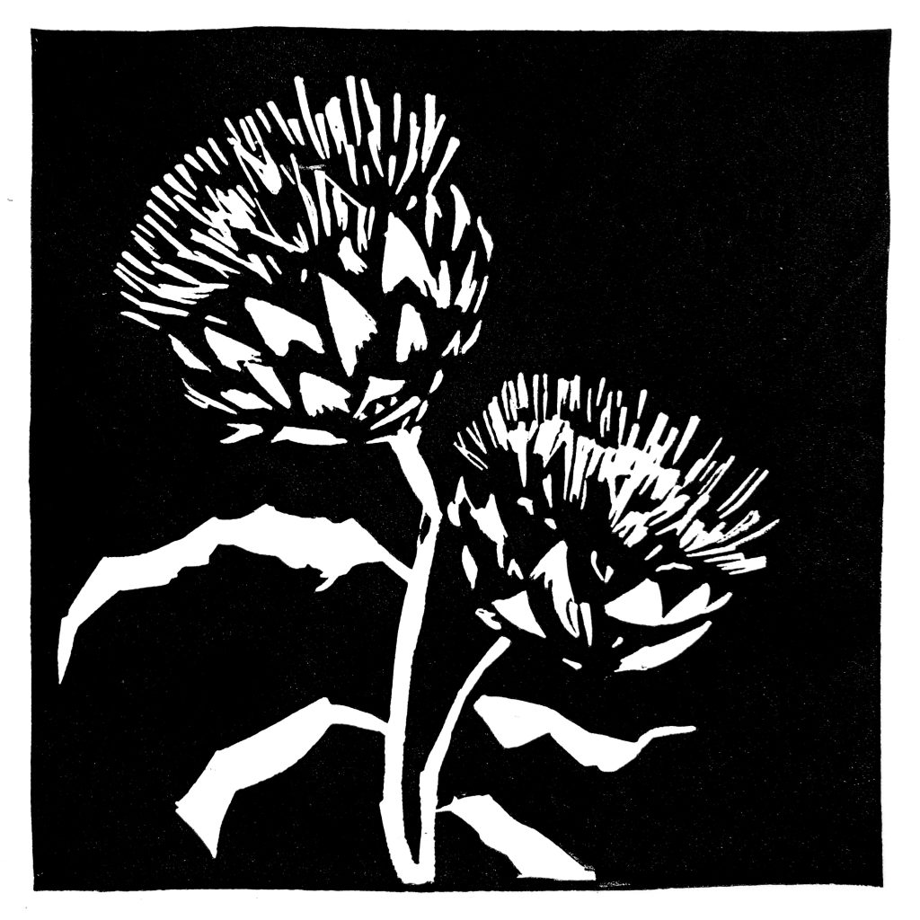 Artichaut en fleur