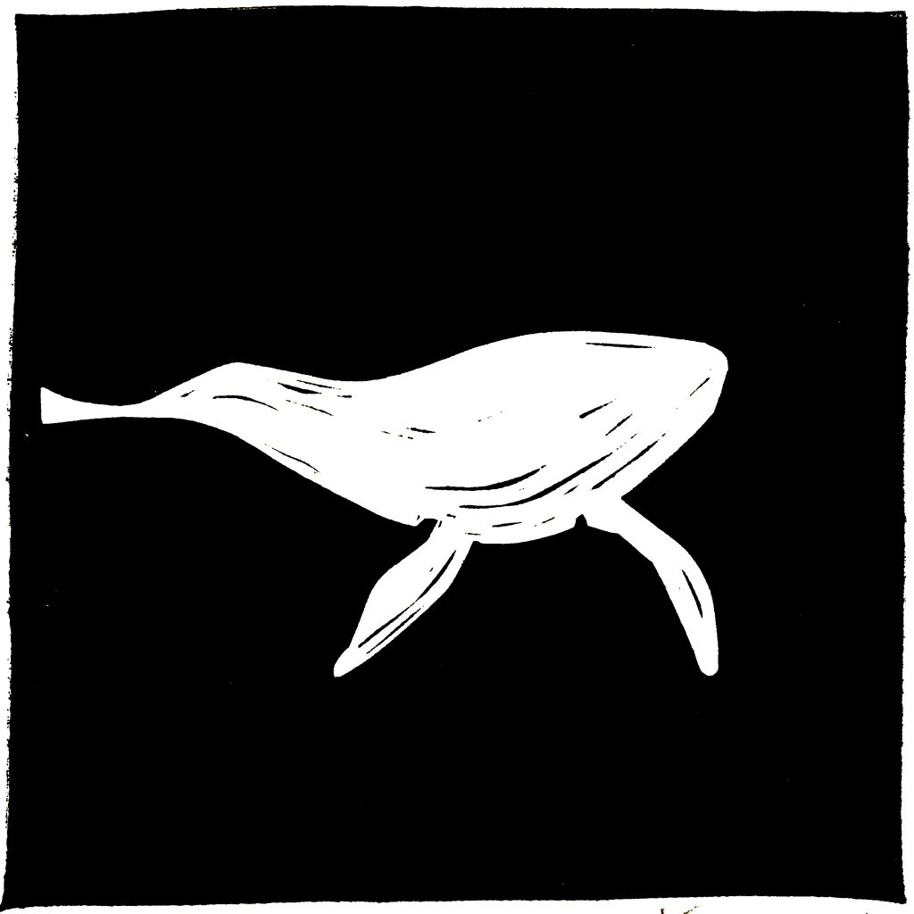 Baleine