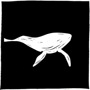 Baleine