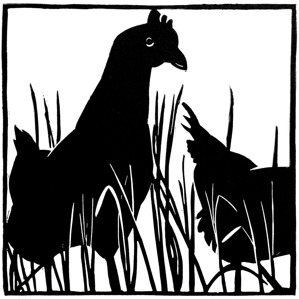 Cocotte et poulette