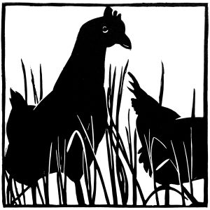 Cocotte et poulette