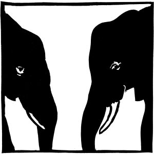 Couple d'éléphants
