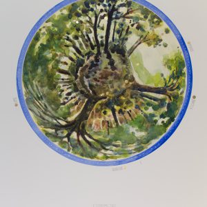Égonométrie d'un milieu forestier