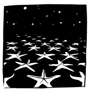 Etoiles de la mer