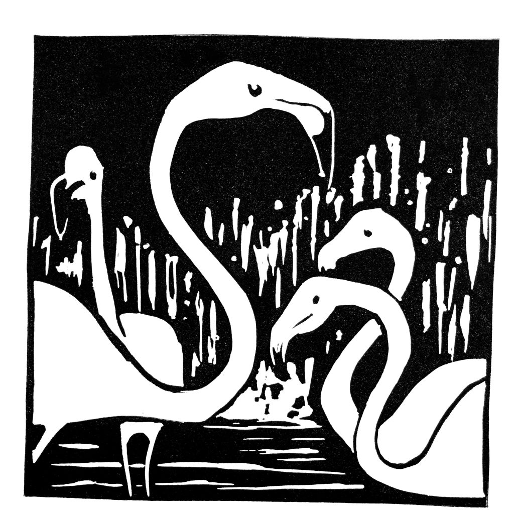 FLAMAND ROSE