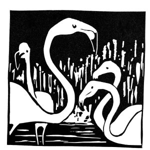 FLAMAND ROSE