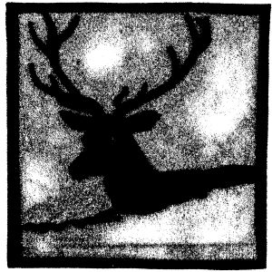 Grand cerf