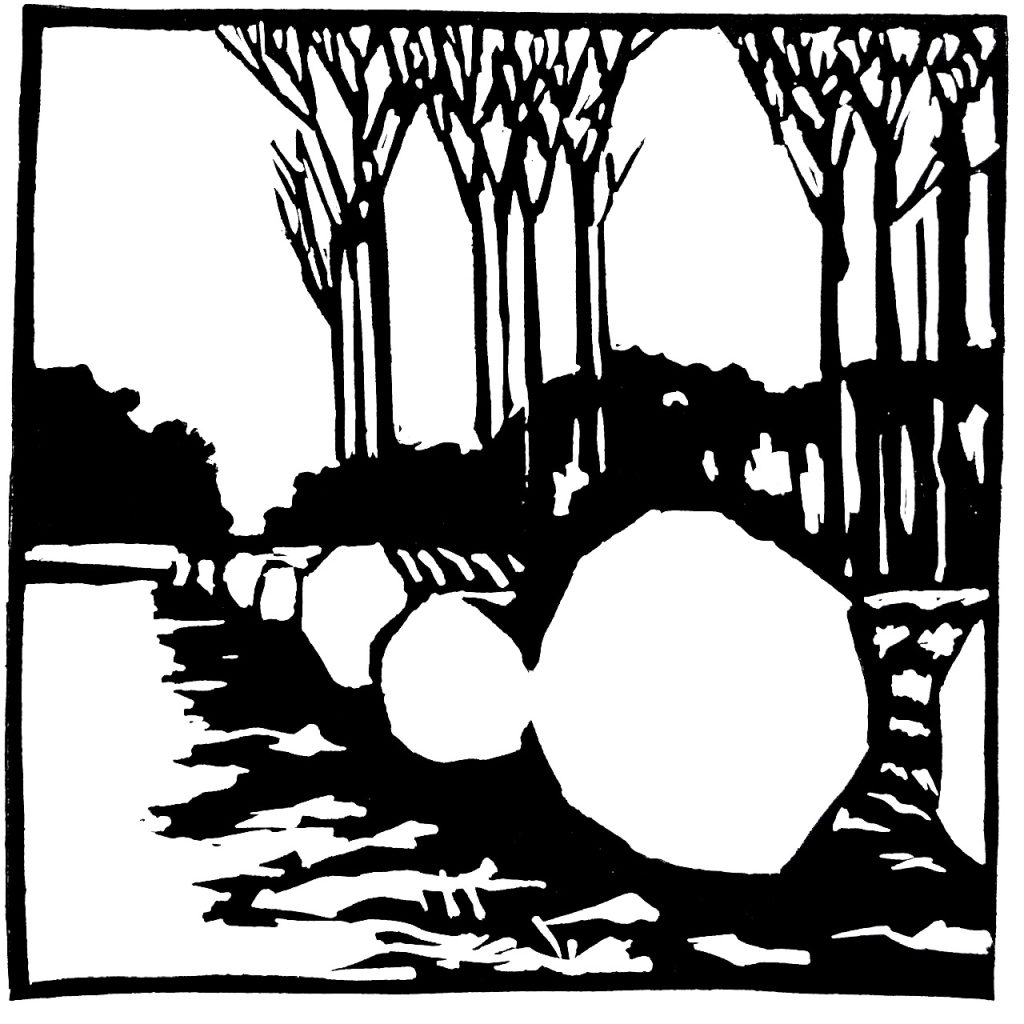 Grumes en forêt