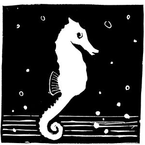 Hippocampe