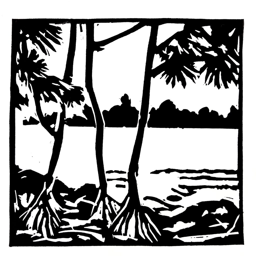 La Reunion / Littoral