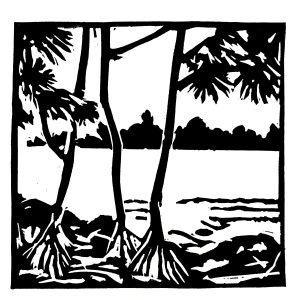 La Reunion / Littoral