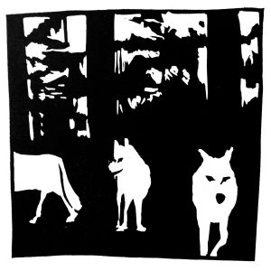 Loups blancs