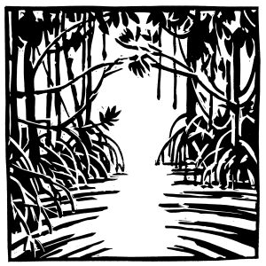 Mangrove n°1