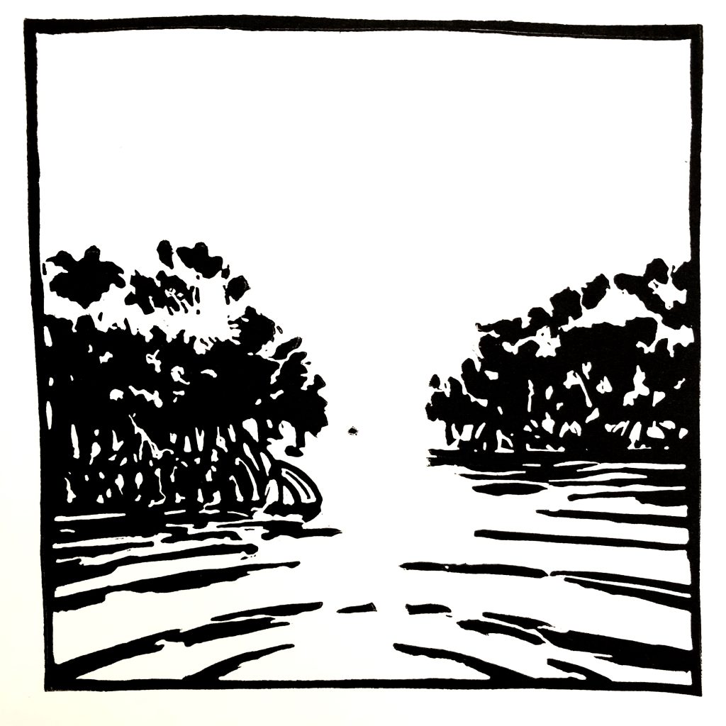 Mangrove n°2