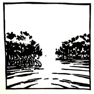 Mangrove n°2