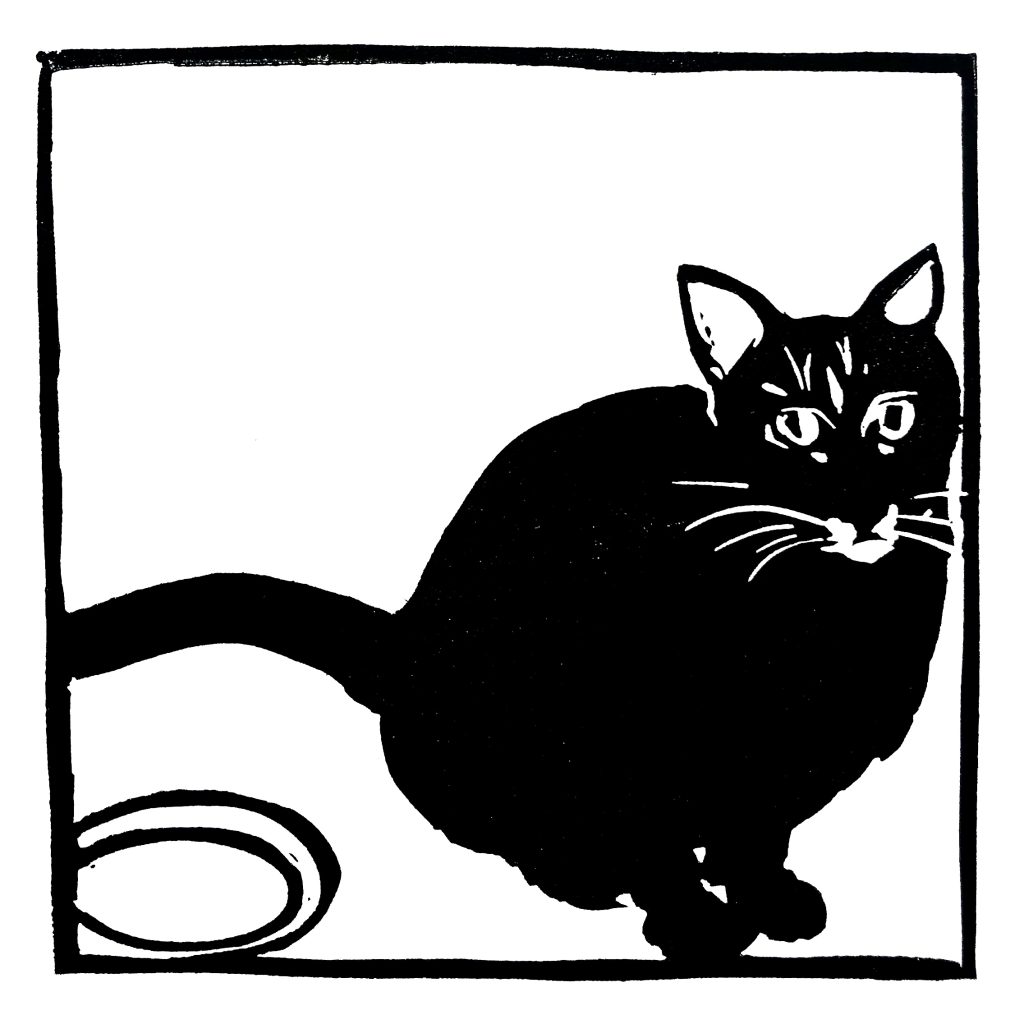 Melancolie de chat