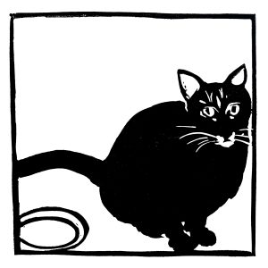 Melancolie de chat