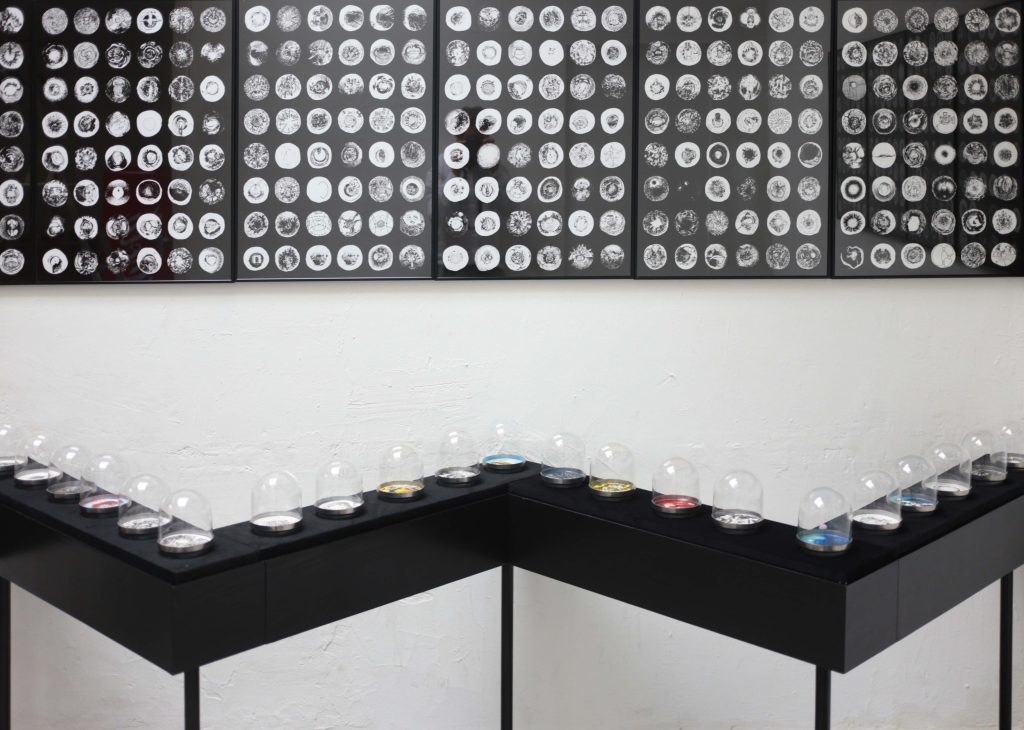 MUSEE DES VISIONS 2016 - 1
