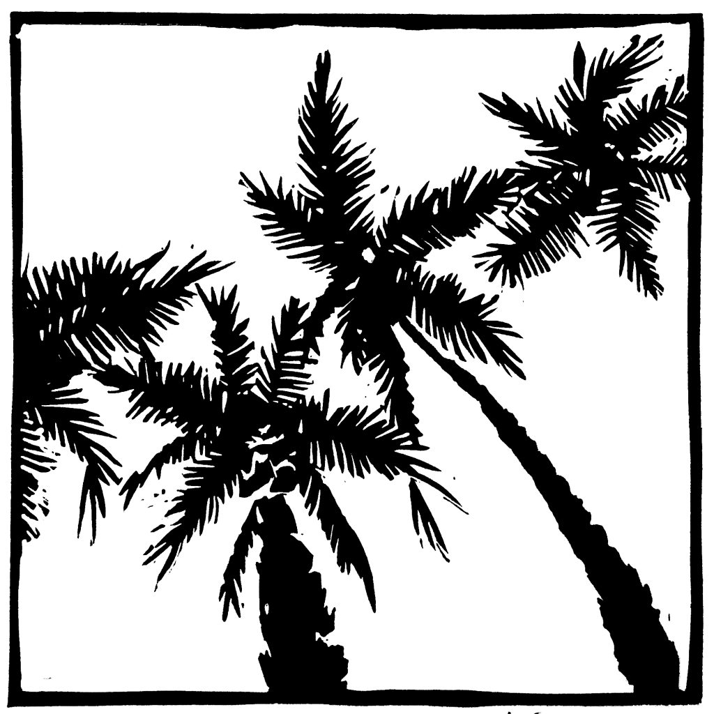 Palmeraie