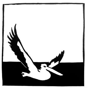 Pelikan