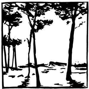 Pinede 2