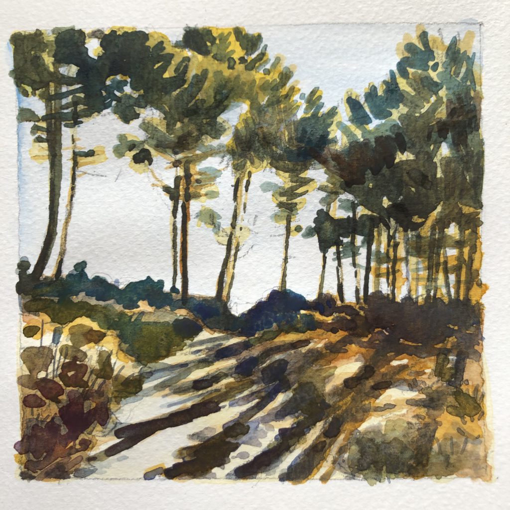 Pinède de la grande couche