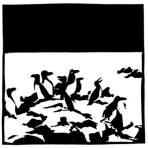 Pingouins