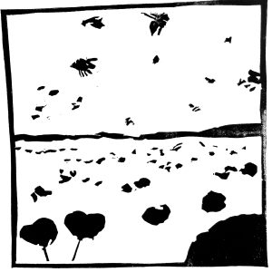 POLLINIS