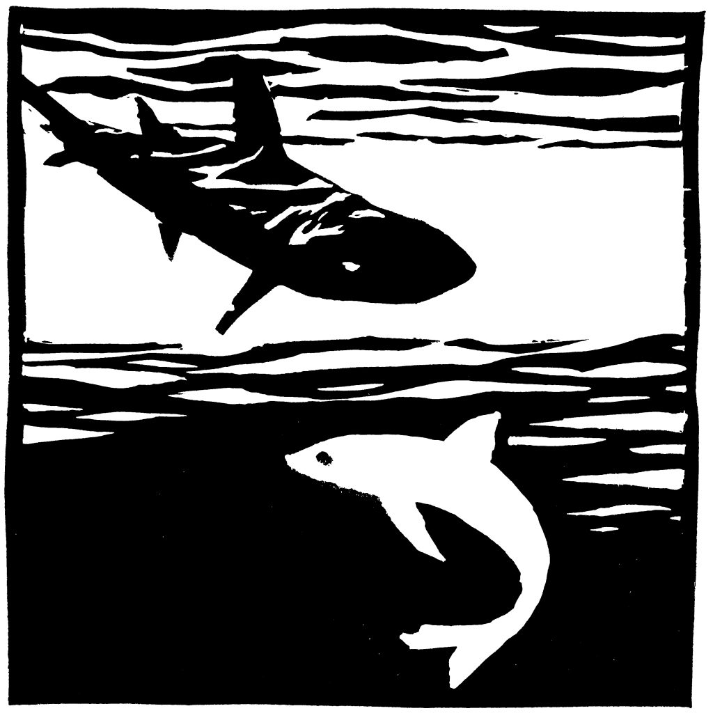 Requins