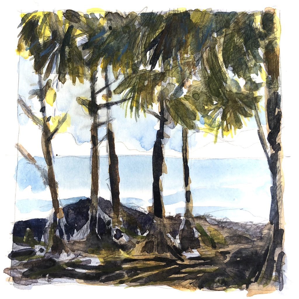 Saint-Philippe, La Réunion