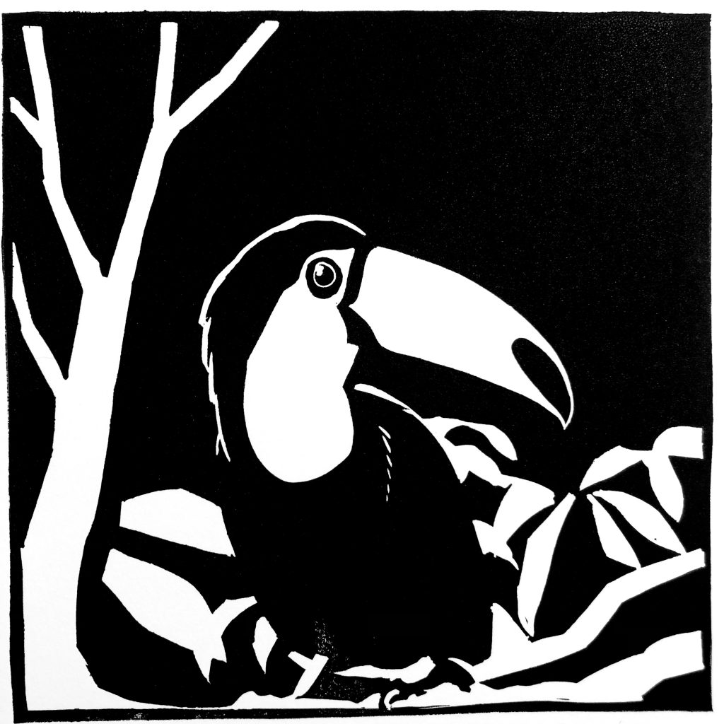 Toucan