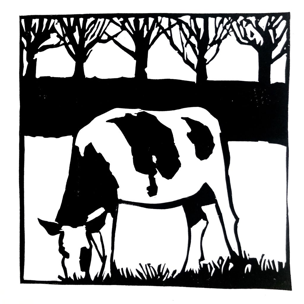 Vache normande