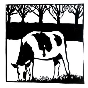 Vache normande