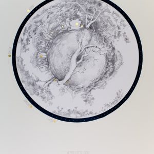09_VEMMETOFTE-SKOV